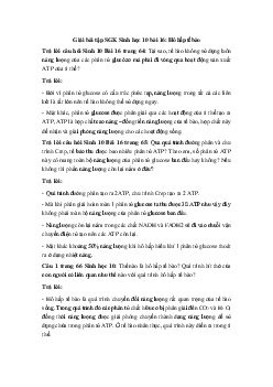 Giải bài tập SGK Sinh học 10 bài 16: Hô hấp tế bào