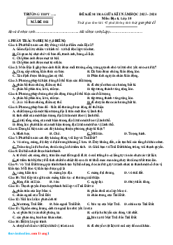 Đề thi giữa HK1 Địa Lí 10 Cánh Diều (có đáp án)