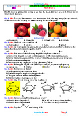 10 Đề Ôn Tập Giữa Học Kỳ 1 Hóa 12 Năm 2024-2025 Cấu Trúc Mới Giải Chi Tiết