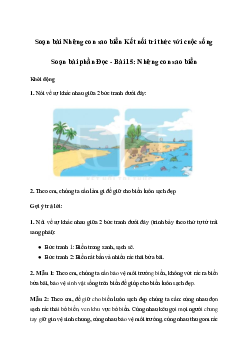 Soạn bài Những con sao biển (trang 61 | Tiếng việt 2 sách Kết nối tri thức