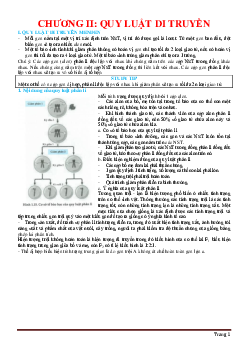 Bài tập chương II quy luật di truyền sinh học 12 (có đáp án và lời giải chi tiết)