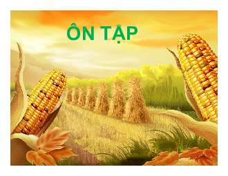 Bài 7.7. Ôn tập bài 7 | Bài giảng PowerPoint Ngữ Văn 6 | Chân trời sáng tạo