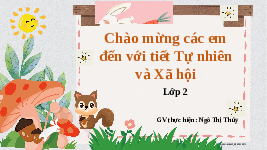 Giáo án điện tử Tự nhiên và Xã hội 2 Bài 18 Kết nối tri thức: Cần làm gì để bảo vệ môi trường sống của thực vật và động vật?
