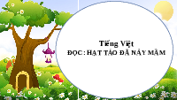 Giáo án điện tử Tiếng Việt 4 Tập Đọc Chân trời sáng tạo: Hạt táo đã nảy mầm
