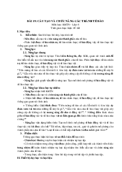 Giáo án Khoa học tự nhiên 6 sách Kết nối tri thức với cuộc sống Bài 19