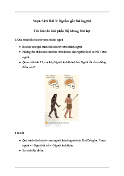 Giải Lịch sử 6 Bài 3: Nguồn gốc loài người - Chân Trời Sáng Tạo