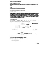 Hướng Dẫn Vẽ Sơ Đồ Luồng Dữ Liệu DFD: Các Bước và Ký Hiệu