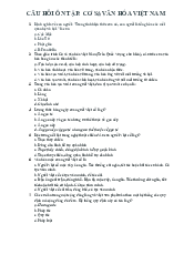 Câu hỏi ôn tập - Cơ sở Văn hóa Việt Nam | Trường Đại học Ngoại ngữ, Đại học Quốc gia Hà Nội