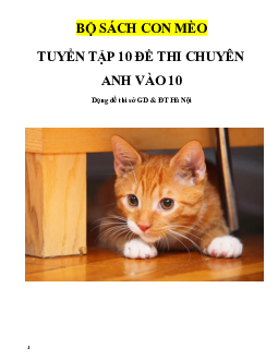 Tuyển tập một số đề thi chuyên Tiếng Anh sở GD&ĐT Hà Nội