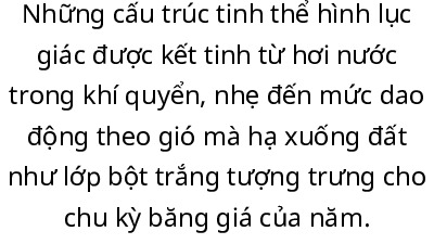 Những cấu trúc tinh thể hình lục giác được kết tinh từ hơi nước trong khí quyển | trò chơi team building môn tổ chức sự kiện