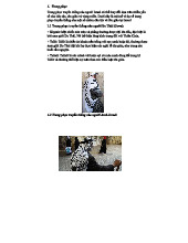 Đồ Trang Phục & Ẩm Thực Truyền Thống Israel: Khám Phá Văn Hóa