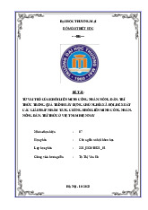 Tìm hiểu về vai trò liên minh công - nông - trí thức trong xây dựng CNXH | Bài thảo luận Chủ nghĩa xã hội khoa học