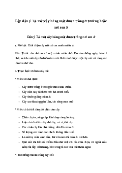 Dàn ý Tả một cây bóng mát được trồng ở trường hoặc nơi em ởt Tiếng việt 4 Chân trời sáng tạo