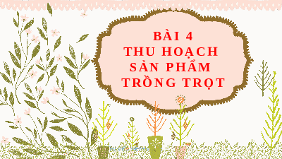 Giáo án điện tử Công nghệ 7 Bài 4 Kết nối tri thức: Thu hoạch sản phầm trồng trọt