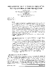 Tài liệu: Một số đánh giá về cáo buộc thao túng tiền tệ của Hoa Kỳ đối với Việt Nam | Tài chính tiền tệ
