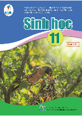 Sách giáo khoa Sinh học 11 - Cánh diều