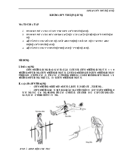 Tài liệu về chấn thương bụng | Đại học y dược Huế