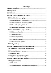 Báo cáo Cuối Kỳ - Chiến Lược Ra Thị Trường Mì Reeva | Nguyên Lý Marketing | Đại học Tôn Đức Thắng