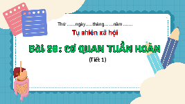 Giáo án điện tử TN&XH 3 Bài 20 Kết nối tri thức: Cơ quan tuần hoàn