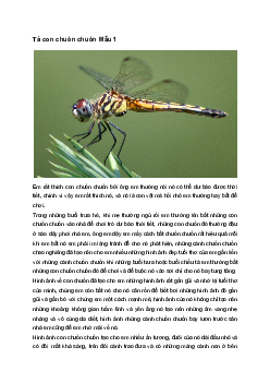 Tả con chuồn chuồn  | Tập làm văn 4