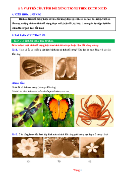 Phương pháp giải Bài 3: Vai trò của tính đối xứng trong thế giới tự nhiên Toán 6 CTST