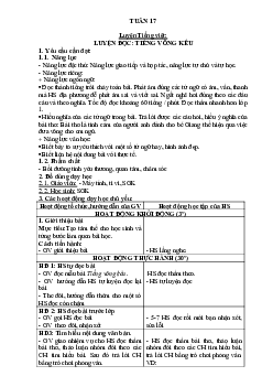 Giáo án buổi 2 Tiếng Việt 2 sách Cánh diều | Tuần 17