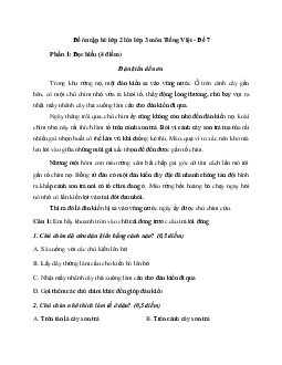 Bài tập ôn hè lớp 2 lên lớp 3 năm 2024 môn Tiếng Việt - Đề 7