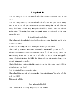 Soạn bài Bồng chanh đỏ - Chân trời sáng tạo