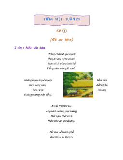 Giải Bài tập cuối tuần lớp 4 môn Tiếng Việt Kết nối tri thức - Tuần 28 (Nâng cao)