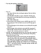 Phân Tích Tủy Sống và Thân Não - Hệ Thần Kinh môn Sinh học | Trường Đại Học Y Dược Thái Bình