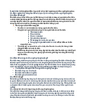 Hệ thống Bảo hiểm và Quản lý Rủi ro trong Chuỗi Cung Ứng | Tài liệu quản trị cung ứng