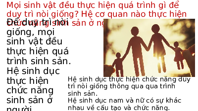 Giáo án điện tử Khoa học tự nhiên 8 Bài 40 Kết nối tri thức: Sinh sản ở người