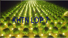 Giáo án điện tử Khoa học tự nhiên 7 bài 24 Chân trời sáng tạo : Thực hành Chứng minh quang hợp ở cây xanh