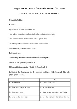 Unit 2 lớp 9 A Closer Look 2