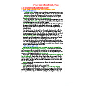 PHÁT TRIỂN CỦA CHỦ NGHĨA TƯ BẢN: CÁC GIAI ĐOẠN VÀ HẬU QUẢ