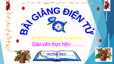 Giáo án điện tử Khoa học tự nhiên 8 Bài 3 Cánh diều: Định luật bảo toàn khối lượng. Phương trình hóa học