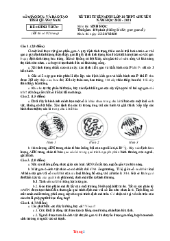 Đề thi vào 10 chuyên Sinh Sở GD Quảng Nam 2020-2021 (có đáp án)