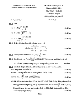 Đề thi HK2 Toán 11 năm 2019 – 2020 trường THPT Nguyễn Thị Minh Khai – TP HCM