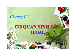 Cơ quan sinh sản(Hoa) - Thực vật học | Đại học Lâm Nghiệp