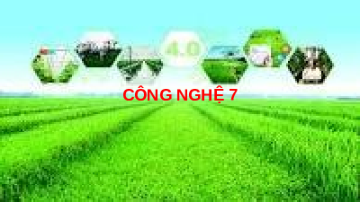 Giáo án điện tử Công nghệ 7 Bài 1 Chân trời sáng tạo: Nghề trồng trọt ở Việt Nam