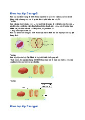 Giải SGK Khoa học lớp 5 Cánh diều Bài 9: Sự lớn lên và phát triển của thực vật có hoa