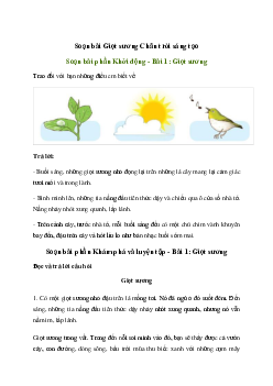 Soạn bài Giọt sương trang 54 | Tiếng việt 3 Chân trời sáng tạo