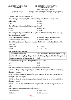 Đề thi cuối học kỳ I năm học 2023-2024 môn sinh 11 Sở GD và ĐT Bắc Ninh (có lời giải)