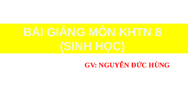 Giáo án điện tử Khoa học tự nhiên 8 Bài 34 Kết nối tri thức: Hệ hô hấp ở người