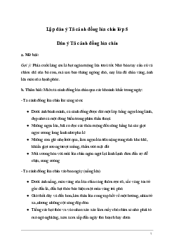 Tập làm văn lớp 5: Dàn ý Tả cánh đồng lúa chín (4 mẫu)