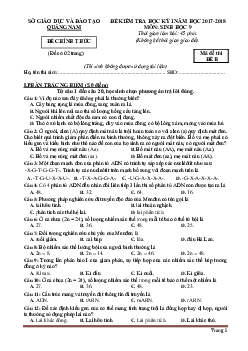 Đề thi HKI môn Sinh học 9 Sở GD&ĐT Quảng Nam năm học 2017-2018 (có đáp án)