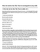 Phân tích bài thơ Độc Tiểu Thanh kí của Nguyễn Du (hay nhất) | Ngữ văn 10