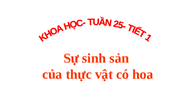 Giáo án điện tử Khoa học 5 Tuần 25 Cánh diều: Sự sinh sản của thực vật có hoa (tiết 1)
