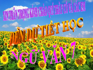 Bài giảng điện tử môn Ngữ văn 7 Bài 4.8: Ôn tập trang 95 | Chân trời sáng tạo