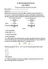 Đề thi thử tốt nghiệp THPT 2025 môn Sinh học bám sát đề minh họa - Đề 6